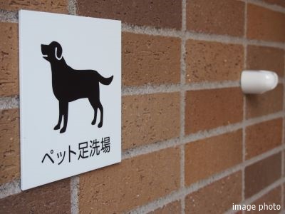ペット足洗い場イメージ｜ザ・パークハウス愛宕虎ノ門